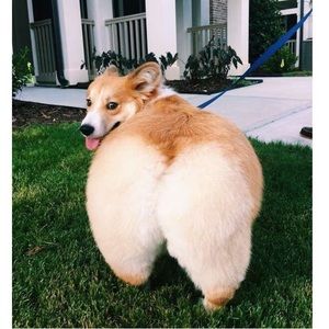 Meet your Posher, Calvin